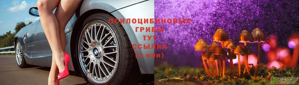синтетический гашиш Нязепетровск