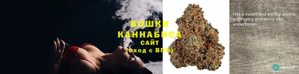 сатива Няндома