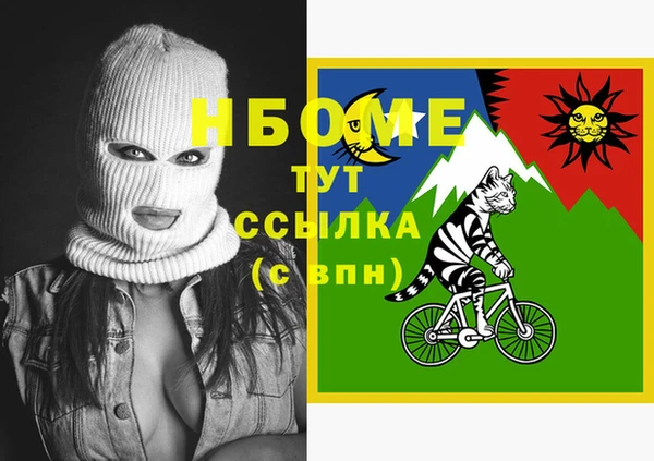 сатива Няндома