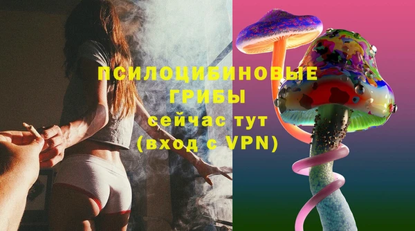 сатива Няндома