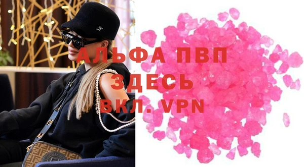 сатива Няндома