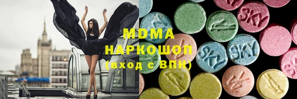 сатива Няндома