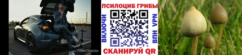Псилоцибиновые грибы ЛСД  Оленегорск 