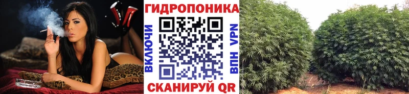 Бошки Шишки индика  Оленегорск 